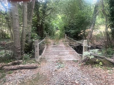 Picture 22